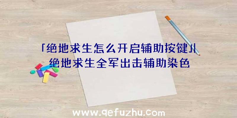 「绝地求生怎么开启辅助按键」|绝地求生全军出击辅助染色